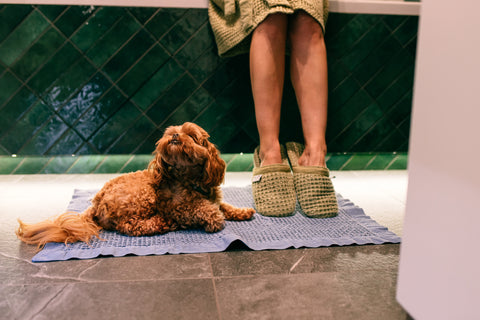 IMG_3098.jpg__PID:d725a33b-175c-49c4-b741-08df12fc08a8